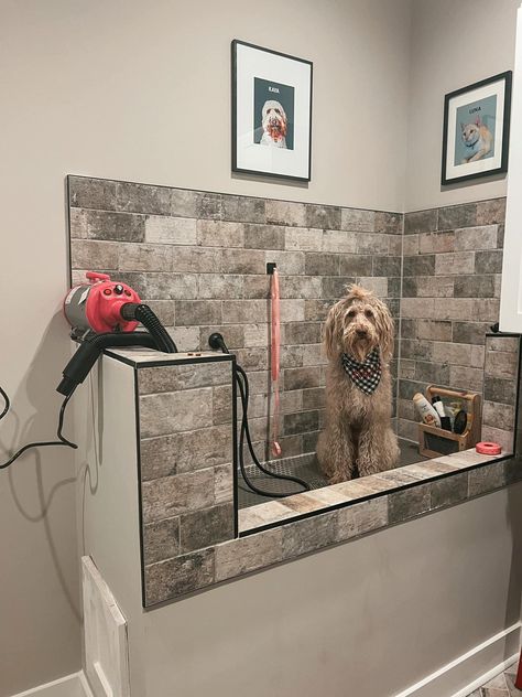 Grooming Shop Ideas, Dog Bathing Station, Outdoor Dog Area, Pet Enclosures, Grooming Salons, Boarding Kennels, Dog Boarding Kennels, Cat Wash, Dog Bathroom