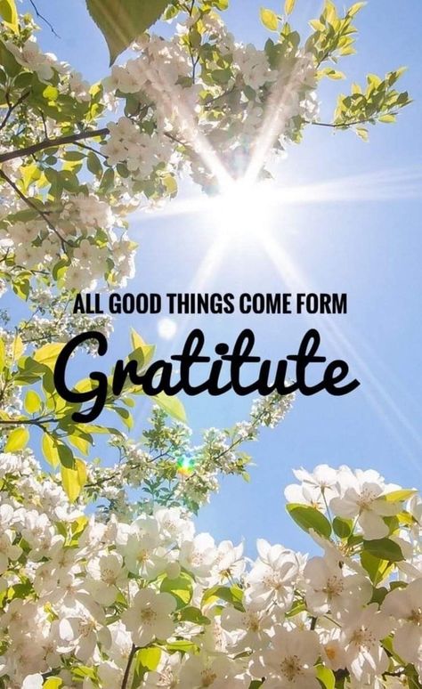 Gratitude Wallpaper, Pray Wallpaper, Made Wallpaper, Love Good Morning Quotes, Positive Quotes Wallpaper, Magical Quotes, Good Morning Sweetheart Quotes, Universe Quotes, Mom Life Quotes