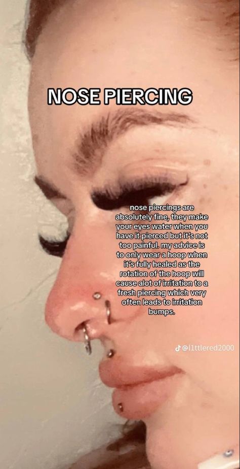 Types Of Piercings Nose, A Lot Of Face Piercings, All Piercings Types Face, Getting Septum Pierced, Types Of Piercings Face, Nose Piercing Chart, Nose Piercing Inspo, Types Of Nose Piercings, Nose Piercing Ideas