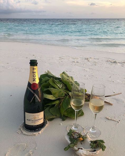 The Beach Aesthetic, Champagne Beach, Sun Aesthetic, In The Beach, Luxury Lifestyle Dreams, Beach Picnic, Beach Aesthetic, Luxury Resort, Endless Summer