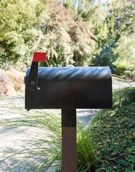 veeders-mailbox-matthew-williams-DSC-0463 Mailbox Posts, Deck Posts, Mounting Board, Mailbox Post, Pressure Treated Wood, Mounted Mailbox, Wooden Posts, Postal Worker, Outdoor Essentials