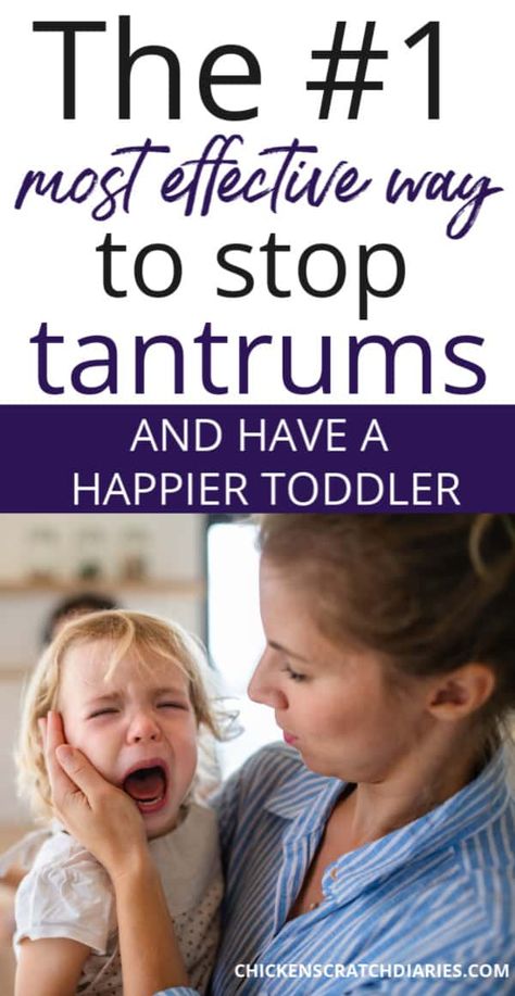 How to Use Humor to Diffuse a Toddler Temper Tantrum » Chicken Scratch Diaries Toddler Tantrums Handling, Routine For Toddlers, Temper Tantrums Toddler, Tantrum Kids, Toddler Fits, Toddler Tantrums, Temper Tantrum, Toddler Behavior, Tantrums Toddler