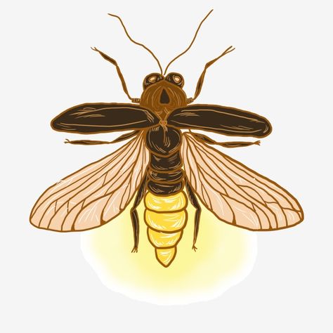 flying insects, insects, fireflies Firefly Drawing, Firefly Painting, Firefly Tattoo, Fly Drawing, Firefly Art, Glowing Flowers, Font Illustration, Flying Insects, Graphic Design Background Templates