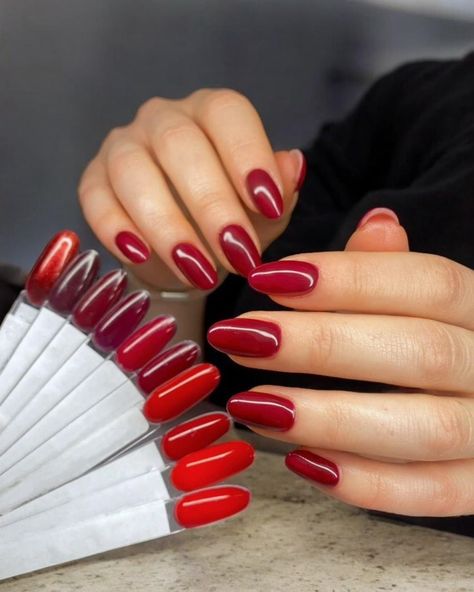 Have you had your red nails yet this year? ❤️💅🏼 All shades of red were a hit this autumn. Pretty much every other appointment included either an all over red or nail art in red. It was crazy! I've finished two bottles of red gel polish, need to stock up before festive nails kick in. Not long to go till we go crazy on sparkly reds for Christmas! ✨ Pic 1: builder + gel polish Pic 2: gel polish Pic 3: builder + gel polish Pic 4&5: gel polish Pic 6: builder + gel polish #nails #nailsleeds #... Red Gel Polish, Gel Polish Nails, Christmas Pic, Festive Nails, Builder Gel Nails, Polish Nails, Builder Gel, Festival Nails, Go Crazy