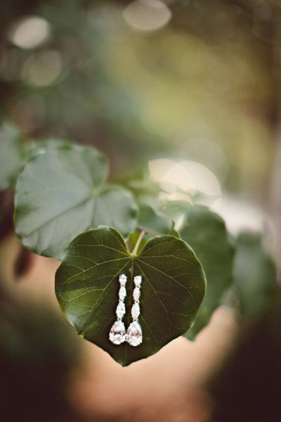 Love this idea - Asheville Autumn Wedding from Almond Leaf Studios Photographing Jewelry, Jewellery Photography Inspiration, Creative Jewelry Photography, Jewelry Photography Styling, Jewelry Editorial, Jewelry Photoshoot, Foto Tips, Tiffany Jewelry, Professional Jewelry