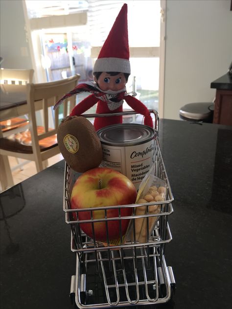 Shopping cart #elfontheshelfideas Mini Shopping Cart, Awesome Elf On The Shelf Ideas, Holiday Deco, Elf Ideas, Very Merry Christmas, Shelf Ideas, Grocery Shopping, Christmas Elf, Kids Stuff