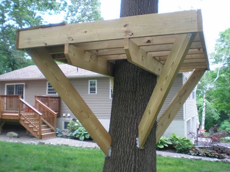 tree fort knee brace distance Treehouse Ideas, Simple Tree House, Beautiful Tree Houses, Casa Hobbit, Building A Treehouse, Tree House Plans, Tree Fort, Tree House Diy, Tree House Kids