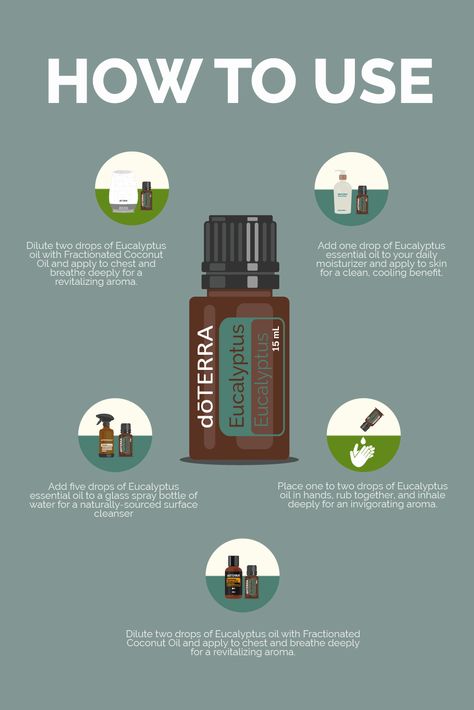 You know what oil is perfect as we transition to spring? 🌿 doTERRA Eucalyptus!  This essential oil is loaded with surface cleansing properties, so it fits right in with your spring cleaning routine.💫  What’s your favourite way to use Eucalyptus?💭  #Eucalyptus #SpringCleaning Doterra Eucalyptus, Eucalyptus Essential Oil Uses, Coconut Essential Oil, Eucalyptus Radiata, Essential Oil Education, Steam Distillation, Cold Symptoms, Frankincense Oil, Respiratory Health