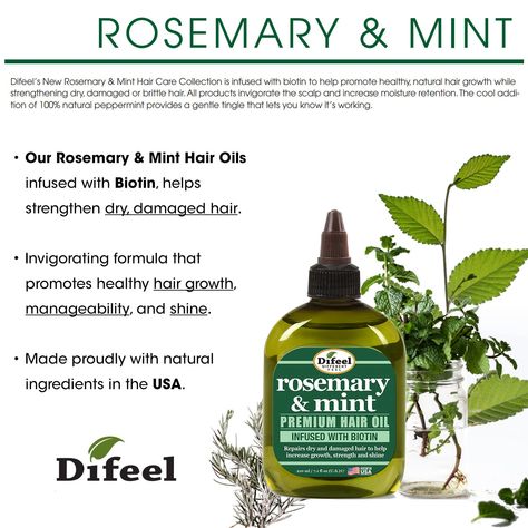 Did you know that ROSEMARY is one of the best and most effective ingredients for hair growth? Using it daily you can increase not only hair growth but also its healthy shine, making your hair less frizzy! Rosemary Mint Hair Oil, Rosemary Oil For Hair Growth, Biotin Hair Growth, Strengthening Hair, Healthy Natural Hair Growth, Rosemary Oil For Hair, Oil For Hair Growth, Dry And Damaged Hair, Loss Hair