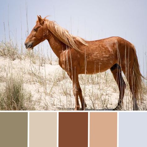 #neutralhomedecor #horses #western #colorpalettes #color #trending #nature #neutrals Western Aesthetic Color Pallet, Paint Colors For Western Bedroom, Boho Western Color Scheme, Old Western Color Palette, Western Color Palette Ranch, Country Western Color Palette, Retro Western Color Palette, Western Color Scheme Rustic, Western Home Color Scheme