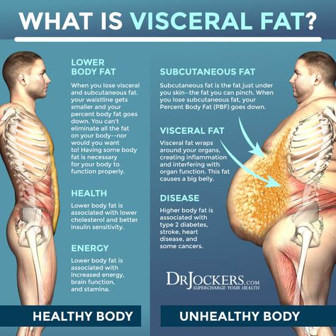 Visceral Fat: What is It and How it Drives Up Inflammation - DrJockers.com Visceral Fat Loss, Lower Body Fat, Reduce Thigh Fat, Exercise To Reduce Thighs, Lose Thigh Fat, Health Disease, Visceral Fat, Reduce Body Fat, Thigh Fat