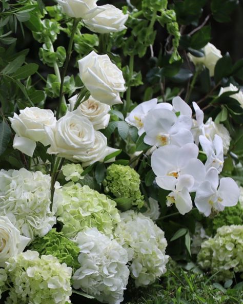 A green and white color palette is both modern and classic 🤍 • • • • • • #tampabridetobe #tampaflorida #tampaweddings #weddinginspo #weddingflowers #weddinginspiration #floridawedding #hydrangea #hydrangeawedding #modernwedding #weddingdecor #weddingday #weddingflorist Green Hydrangea Bouquet, Green And White Color Palette, Hydrangea Bouquet, White Color Palette, Hydrangeas Wedding, Green Hydrangea, White Orchids, Italy Wedding, Florida Wedding