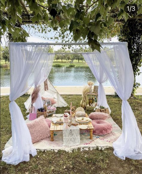 Picnic Shade Ideas, Picnic Tent Ideas, Boho Picnic Ideas, Whimsical Picnic, Luxury Picnic Ideas, Picnic Party Decorations, Picnic Business, Luxury Picnics, Picnic Birthday Party