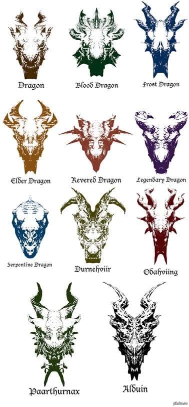 Dragon Skyrim, Elder Scrolls Tattoo, Dragon Types, Skyrim Tattoo, Skyrim Wallpaper, Skyrim Dragon, Elder Scrolls Games, Skyrim Art, Types Of Dragons