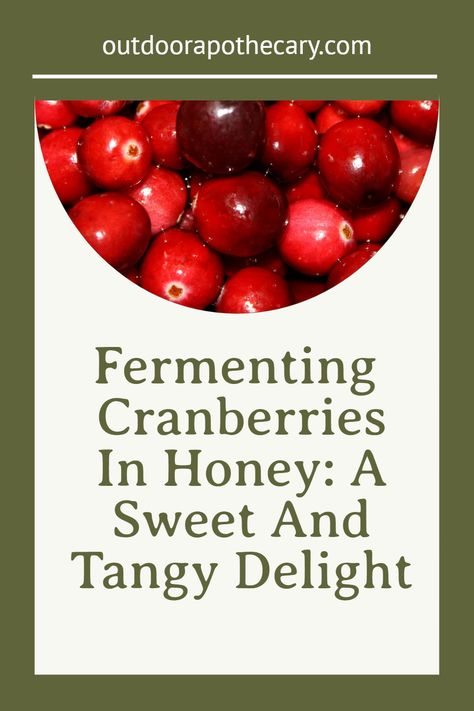 Discover the magic of fermenting cranberries in honey. Learn the easy steps and creative uses in this delightful honey fermentation recipe. Fermented Cranberries In Honey, Honey Fermented Cranberries, Fermented Honey Recipes, Fermented Cranberries, Preserving Zucchini, Lacto Fermented Pickles, Cranberry Honey, Fermented Honey, Fermenting Weights