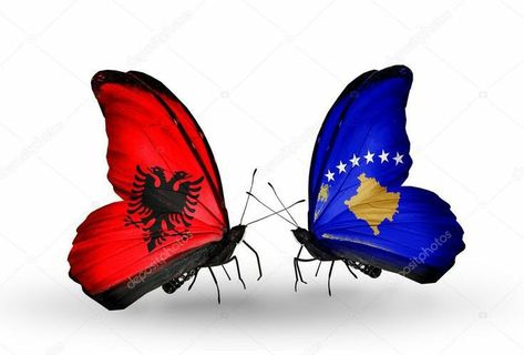 28 29 November Albania, 28 November Albania Drawing, Albania Wallpaper, Albanian Tattoo, Kosovo Flag, Bob Marley Painting, Deadpool Pikachu, Albanian Flag, Albania Flag