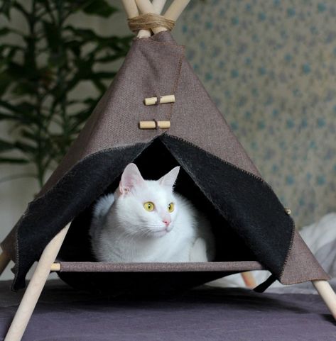 How to Make a DIY Pet Teepee in 6 Easy Steps Diy Cat Teepee, Cat Tent Diy, Teepee Diy, Diy Cat Hammock, Diy Cat Tent, Dog Teepee, Cat Teepee, Diy Cat Bed, Diy Teepee