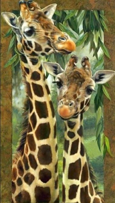 Giraffe Pictures, Afrikaanse Kunst, Giraffe Art, A Giraffe, Cute Giraffe, Favorite Animals, Baby Giraffe, Arte Animal, Favorite Animal