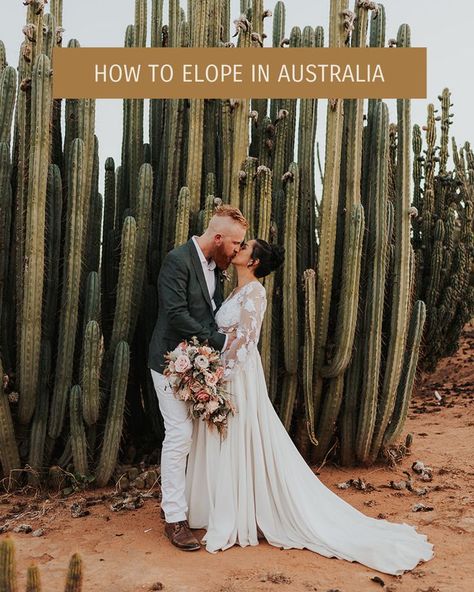 A bride and groom kissing in front of a large cactus at Cactus Country, Victoria. How To Elope, Elopement Ideas, Australia Travel, Wedding Tips, Elopement, Blog Post, To Start, Blog Posts, Australia