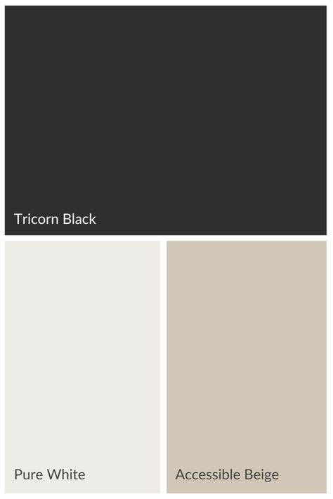 Tricorn Black and complementary paint colors Black And Tan Paint Scheme, Accessible Beige And Tricorn Black, Tricorn Black Sherwin Williams, Sw Tricorn Black, Sherwin Williams Tricorn Black, Black Painted Stairs, Accessible Beige Sherwin Williams, Reno House, Paint Pallets