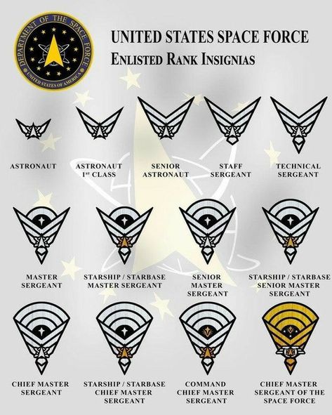 Us Space Force Uniform, Space Force Ranks, Space Force Uniform, What Is Space, Space Uniform, Military Emblems, Us Space Force, United States Space Force, Photo Avion