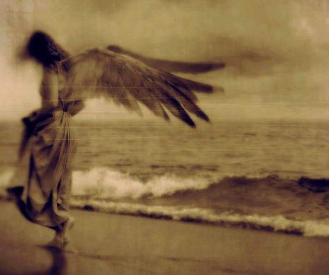 Angels Among Us, Guardian Angels, Glitch Art, Vintage Portraits, Ethereal Art, Contemporary Artist, Pose Reference Photo, Going Home, Fallen Angel