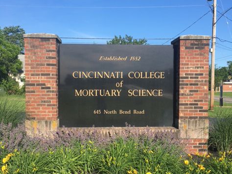 Cincinnati College of Mortuary Science students are used to explaining their 'weird' course of study. But at this prestigious school, it's a calling. Mortuary Science Student, Mortuary School Aesthetic, Mortuary Aesthetic, Mortuary School, Morgue Aesthetic, Mortuary Science, Prestigious School, Prettiest Girl, Oc Stuff