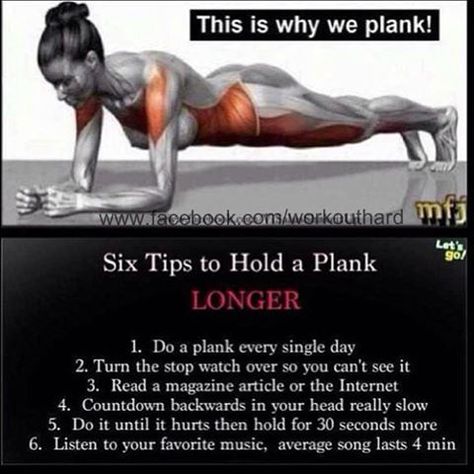 How to Do a Plank: Target Muscles Chart: Workouts Health, Workout Stretches, Health Fitness, Fitness Healthy, Gym Planks, Plank Longer, Workout Ideas, Quick Workout Joseph Pilates, Pilates Training, Sup Yoga, Push Ups, Motivation Fitness, I Work Out, Get In Shape, Healthy Body, Stay Fit