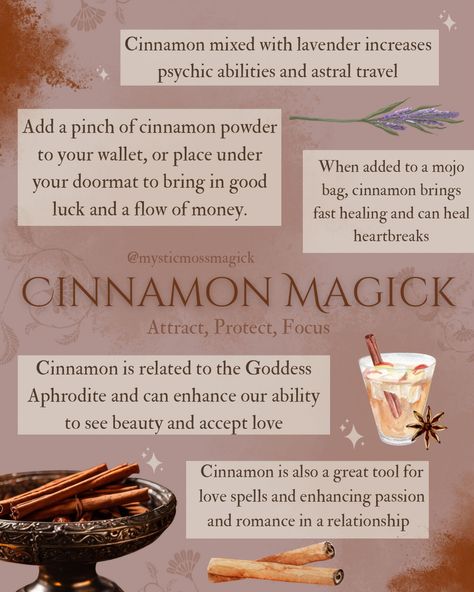 Cinnamon is popularly used as the plant tool for abundance spells. But it can be used in love spells, cleansing, and meditation as well. It’s mentioned as a sanctifying and purifying herb in the Bible and in ancient Egyptian culture. It’s important that when burning or diffusing cinnamon to do so in a well ventilated area. ✨ . . . #greenwitch #kitchenmagick #kitchenwitch #hearthwitch #cottagewitch #hedgewitch #witch #witchy #witchaesthetic #witchymagazine #autumn #autumnmagic #fallmagic #myst... Cinnamon Spell Uses, Cinnamon Doorway Spell, Cardamom Magical Properties, Cinnamon Abundance Spell, Cinnamon Broom Witchcraft, Cinnamon Magick, Burning Cinnamon Sticks, Cinnamon Spells, Cinnamon Witch