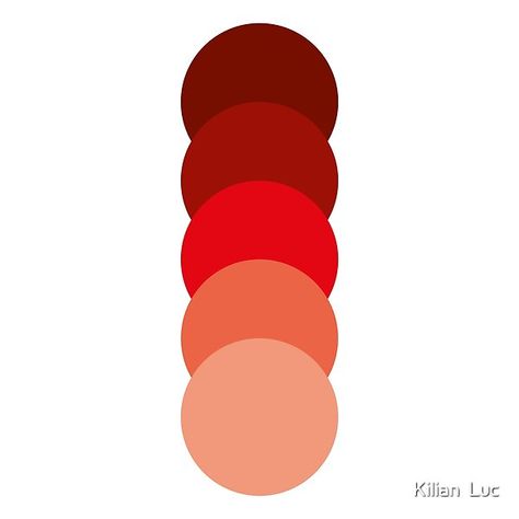 Red Colour Palette Shades, Red Shades Colour Palettes, Shades Of Red Color, Color Schemes Design, Color Pallete, Red Colour Palette, Brown Color Palette, Water Party, Color Circle