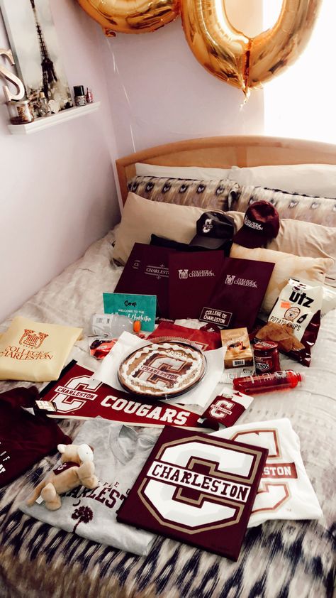 College Of Charleston Dorm, Charleston University, College Of Charleston Aesthetic, Charleston College, College Plan, College Decision, University Inspiration, College Canvas, College Goals