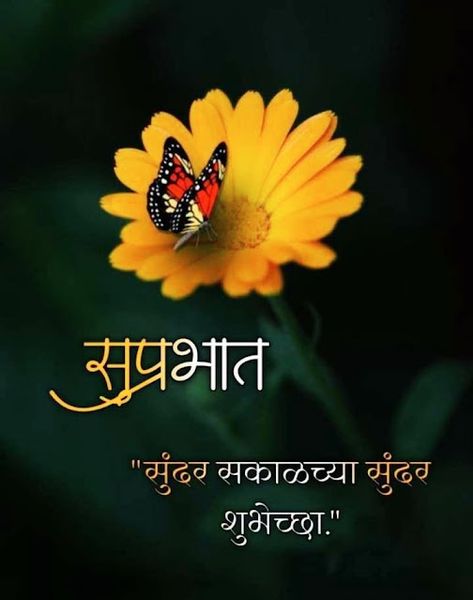 Shubh Sakal In Marathi, Good Morning Images Marathi, Diwali Gif, Beautiful Morning Quotes, Good Morning Nature, Hindi Good Morning Quotes, God Images, Good Morning Life Quotes, Flower Wallpapers