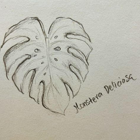 Monstera drawing Monstera Sketches, Monstera Leaf Sketch, Monstera Deliciosa Drawing, Monstera Plant Sketch, Monstera Plant Drawing, Dorm Paintings, Leaves Sketch, Plant Sketches, Pencil Drawings Of Flowers