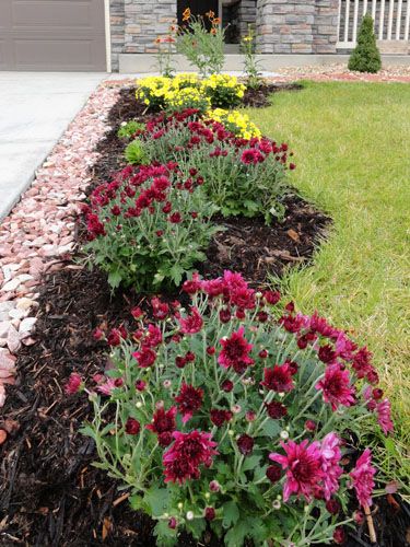 Front Lawn Garden Bed, Boarders For Flower Beds, Corner Flower Bed, Cheap Outdoor Patio Ideas, Flower Gardening Ideas, Flower Bed Decor, Garden Renovation, Flower Bed Borders, Front Porch Flowers