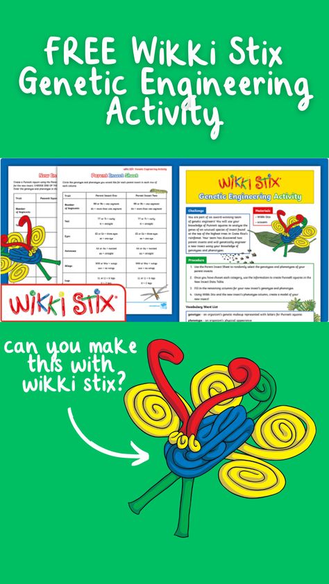 Wikki Stix Ideas, Punnett Squares, Stem Elementary, Engineering Activities, Steam Education, Genetic Engineering, Stem Steam, Elementary Activities, Skills Activities