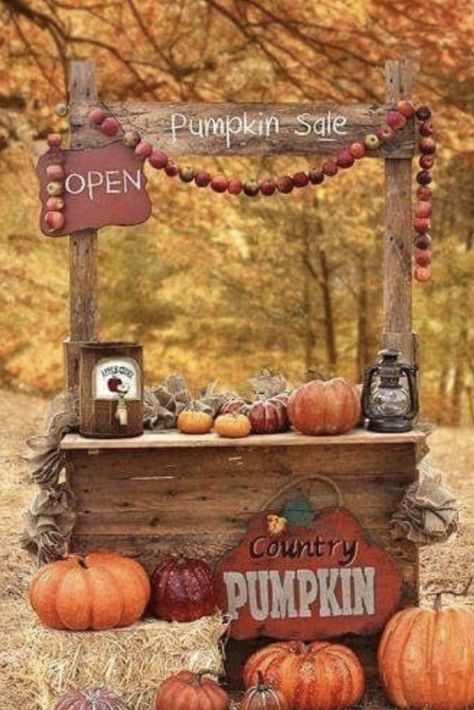 Hay Bale Christmas, Fall Photo Booth, Fall Burlap Banner, Decoration For Wall, Fall Festival Games, Handcrafted Christmas Cards, Pumpkin Patch Party, Pumpkin Patch Photoshoot, Fall Backdrops