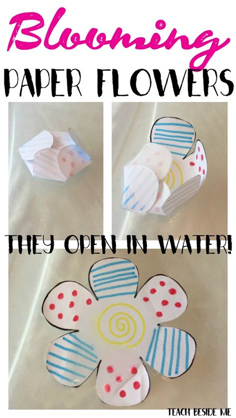 These paper flowers will bloom before your eyes when placed in water! Flower Science, Science Activities For Kids, Floating Flowers, Paper Flowers Craft, Stem Projects, Preschool Science, Spring Activities, Stem Activities, Science For Kids