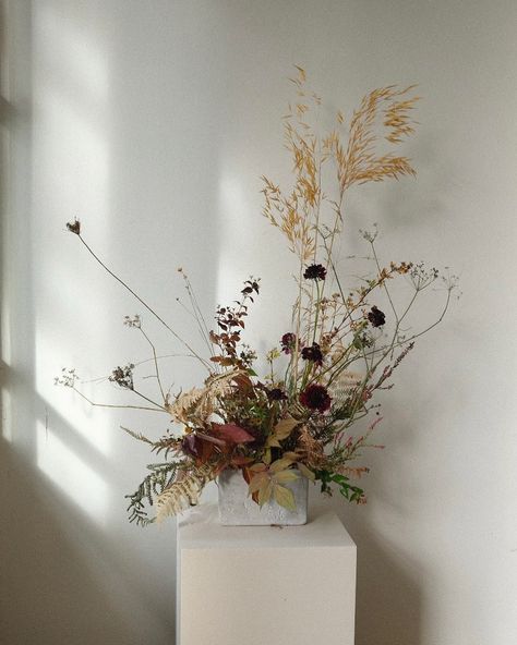 One of the arrangements destined for lovely J & R’s ceremony yesterday at @collective_edin 🌾 @ochrebotanicalstudios 🍂🍁 Sourced from the ochre garden, @prestonhallestate, @rootandbranchflowers, @keepingtheplotflowers, @ravenshillflowerfarm, @hortuspoeticus. Thank you ✨ Yarrow Arrangement, Desert Flowers, Thank You, Flowers