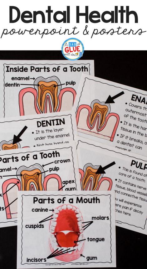 Engage your class in an exciting hands-on experience learning all about teeth! This dental health science unit is perfect for science in Preschool, Pre-K, Kindergarten, First Grade, and Second Grade classrooms and packed full of inviting science activities. Teeth Lesson Plans Preschool, Teeth Experiments For Kids, Preschool Teeth Activities, Dental Week Preschool Activities, Health Science Classroom, Tooth Preschool, Health Preschool, Dental Health Unit, Dental Health Week