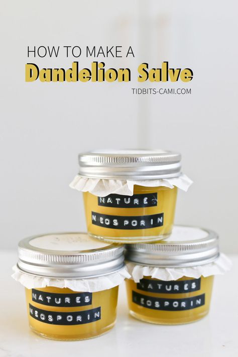 Dandelion Salve, Dandelion Oil, Tinctures Recipes, Salve Recipes, Medicinal Herbs Garden, Medical Herbs, Loose Leaf Teas, The Dandelion, Plant Medicine