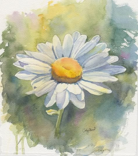 Daisy watercolor by Candice Leyland Daisy Watercolor, Daisy Drawing, Kitchener Ontario, Daisy Art, Daisy Painting, Flowers Paintings, Watercolor Projects, Watercolour Inspiration, Watercolor Sketchbook