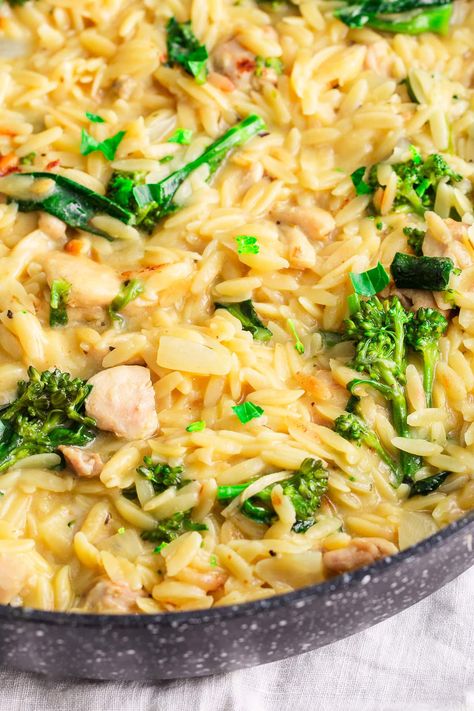 Chicken Broccoli Orzo Casserole One Pot Chicken Pot Pie Orzo, Cheesy Chicken Orzo Recipes, Chicken Broccoli Orzo Recipes, Instapot Chicken Orzo Recipes, Chicken Broccoli Orzo Casserole, Orzo Recipes Dairy Free, Chicken And Orzo Recipes One Pot, Orzo Chicken Bake, Broccoli Orzo Casserole