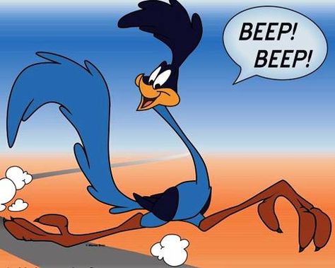 Road Runner Cartoon Bird, Wile E Coyote, Old School Cartoons, School Cartoon, Merrie Melodies, Images Disney, Looney Tunes Characters, Looney Tunes Cartoons, Morning Cartoon