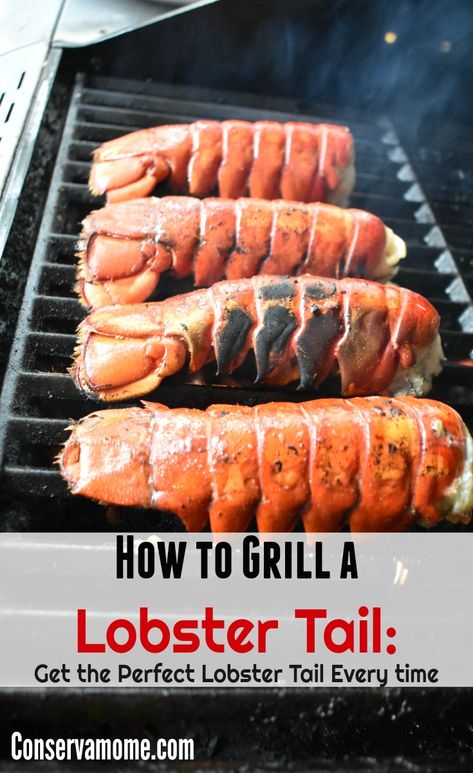 How to Grill a Lobster Tail: Get the Perfect Lobster Tail Every time! - ConservaMom Grill Lobster Tail Recipe, Baked Lobster Tails, Grilled Lobster Tail, Frozen Lobster, Lobster Dishes, Lobster Recipes Tail, Grilled Lobster, Lobster Tail, How To Cook Lobster