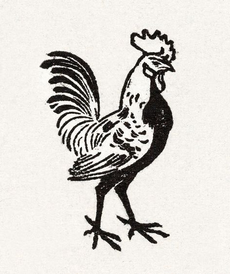 Medieval Woodcut, Rooster Illustration, Chicken Tattoo, Rooster Tattoo, Vintage Tattoos, Chicken Illustration, Medieval Tattoo, Free Illustration Images, Tattoo Flash Art