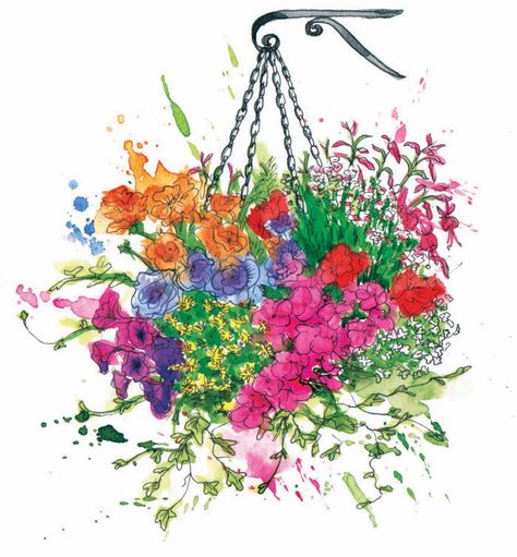 hanging basket by georgina luck Flower Basket Drawing, Georgina Luck, Keep On Smiling, Fancy Pattern, Grow Garden, Basket Drawing, London Road, Hanging Flower Baskets, Cottage Gardens