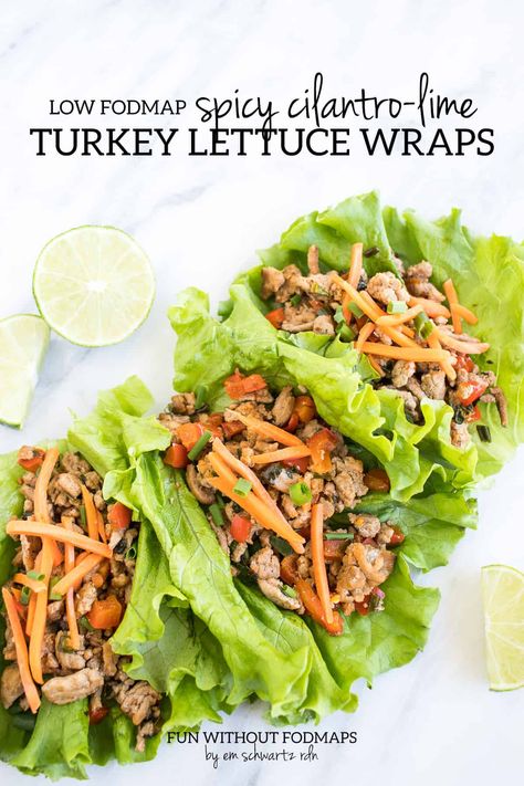 Turkey Larb Recipe, Turkey Larb, Supper Salads, Larb Recipe, Fodmap Meals, Fodmap Lunch, Salads Healthy, Fodmap Recipes Dinner, Low Fodmap Recipes Dinner