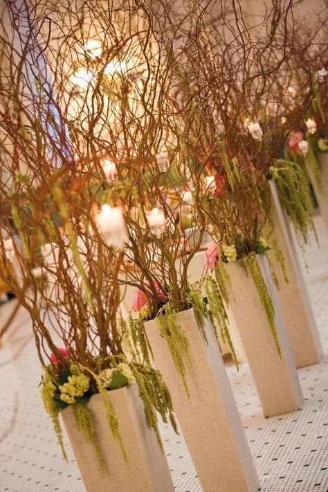 "Fresh cut Curly Willow Branches, 6 Branches per order  Length 60\" tall  Branches will remain fresh for 2 weeks or longer if kept in a cool most place. This is a natural product as such the actual item can vary  from the picture shown" Southern Belle Wedding, Wedding Reception Entrance, Barnyard Wedding, Ceremony Aisle, Branches Diy, Aisle Flowers, Curly Willow, Willow Branches, Wedding Ceremony Flowers