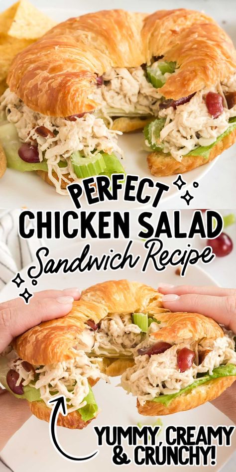 Chicken Salad Sandwich Classic Chicken Salad Sandwich, Classic Chicken Salad, Best Chicken Salad, Best Chicken Salad Recipe, Homemade Chicken Salads, Salad Sandwich Recipe, Chicken Salad Sandwich Recipe, Chicken Salad Recipe Easy, Chicken Salad Sandwich