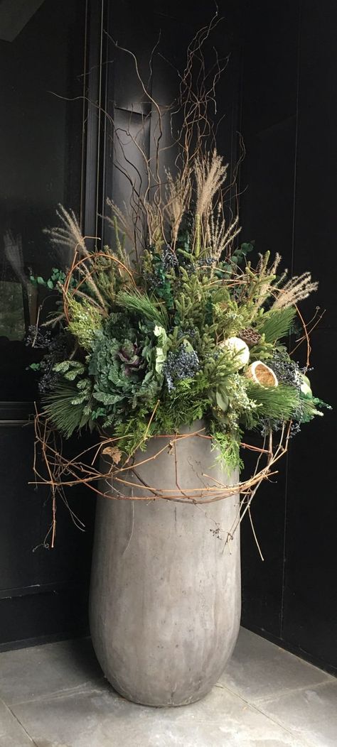 Winter Bulbs Indoors, Winter Foliage Arrangements, Holiday Outdoor Planters, Winter Urns Outdoor Planters, Outdoor Winter Pots, Winter Pots Outdoor Planters, Winter Outdoor Planter Ideas, Winter Planters Front Porches, Holiday Planters